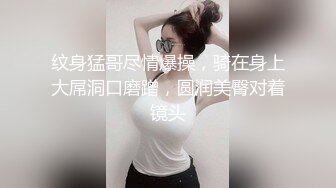 纹身猛哥尽情爆操，骑在身上大屌洞口磨蹭，圆润美臀对着镜头