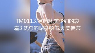 TM0113.伊琬琳.美少妇的哀羞3.沈总的贴身秘书.天美传媒